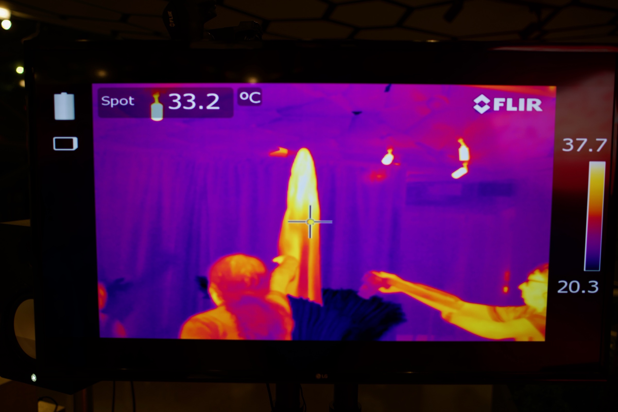 FLIR thermal imaging at peak bloom, 33.2°C